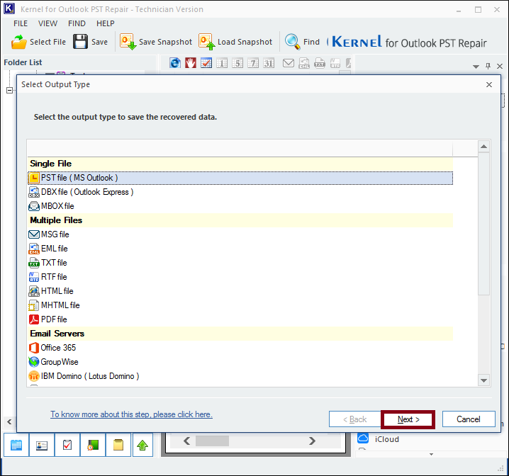 select the format for the output file