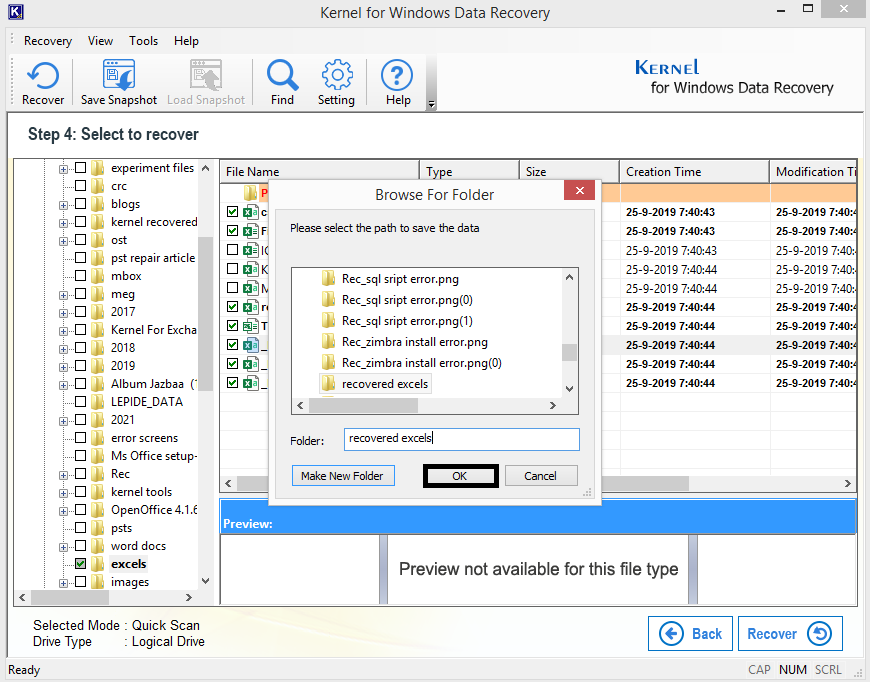 provide the destination folder for saving the recovered Excel files