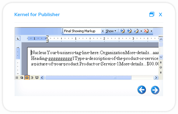 Have a detailed preview of the selected Publishers file data.