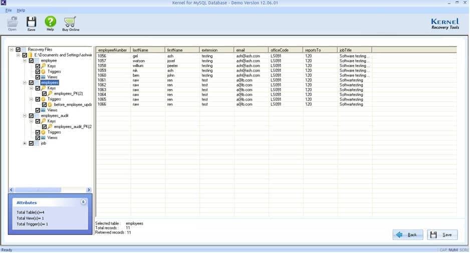 Preview recovered database tables and related attributes before saving