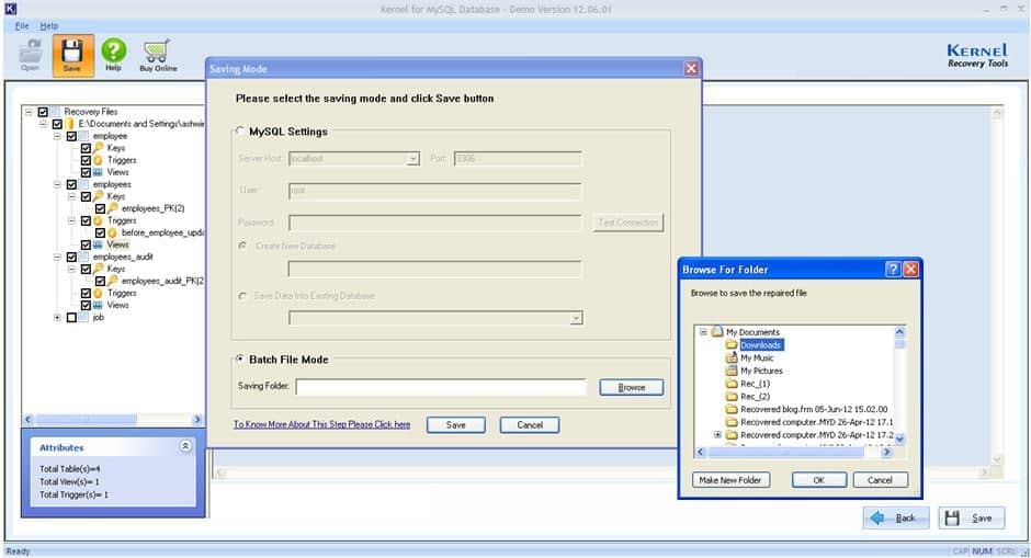 Select Batch File Mode for saving the recovered database to local system
