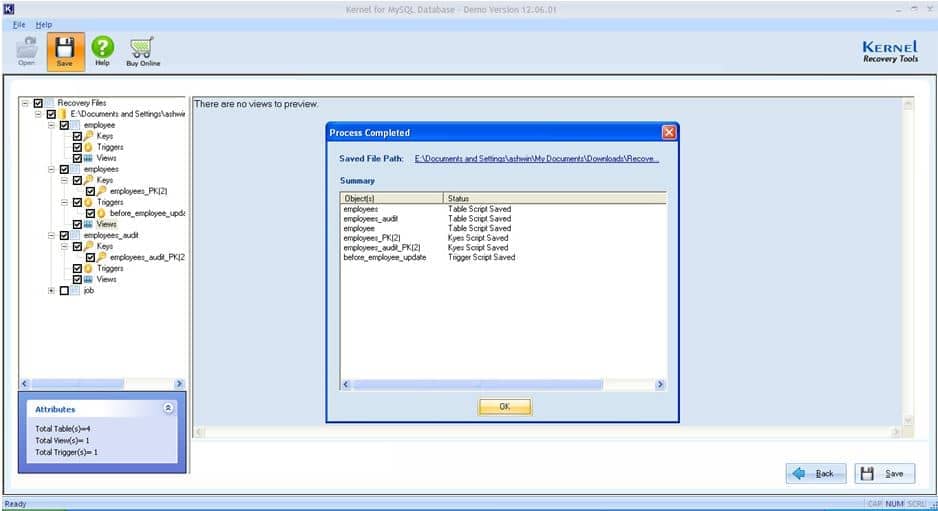 File saved successfully to the desired location on local system