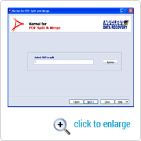 Browse PDF File Screenshot