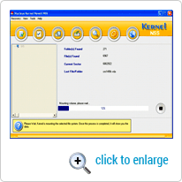 Mounting the selected file system