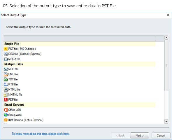 Selection of the output type to save entier data in PST file.