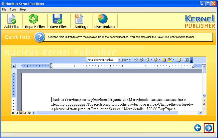 Previewing the content of the recovered Publisher file