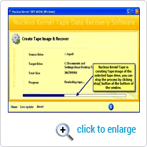 Tape Recovery Process Screen