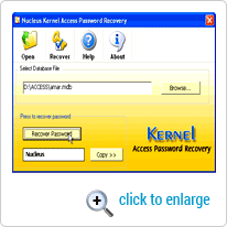 Click on recover password button