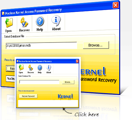 Access Password Recovery