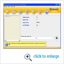 Mounting the selected file systems