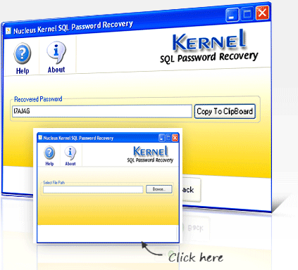 SQL password recovery