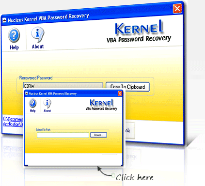 VBA Password Recovery