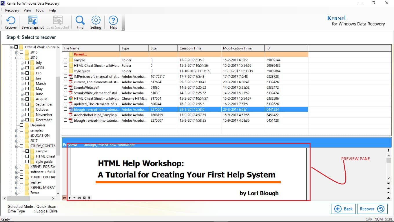 Select any item to preview that file in detail within the software console