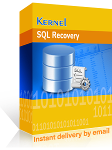  SQL Recovery