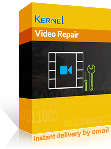 Video Repair